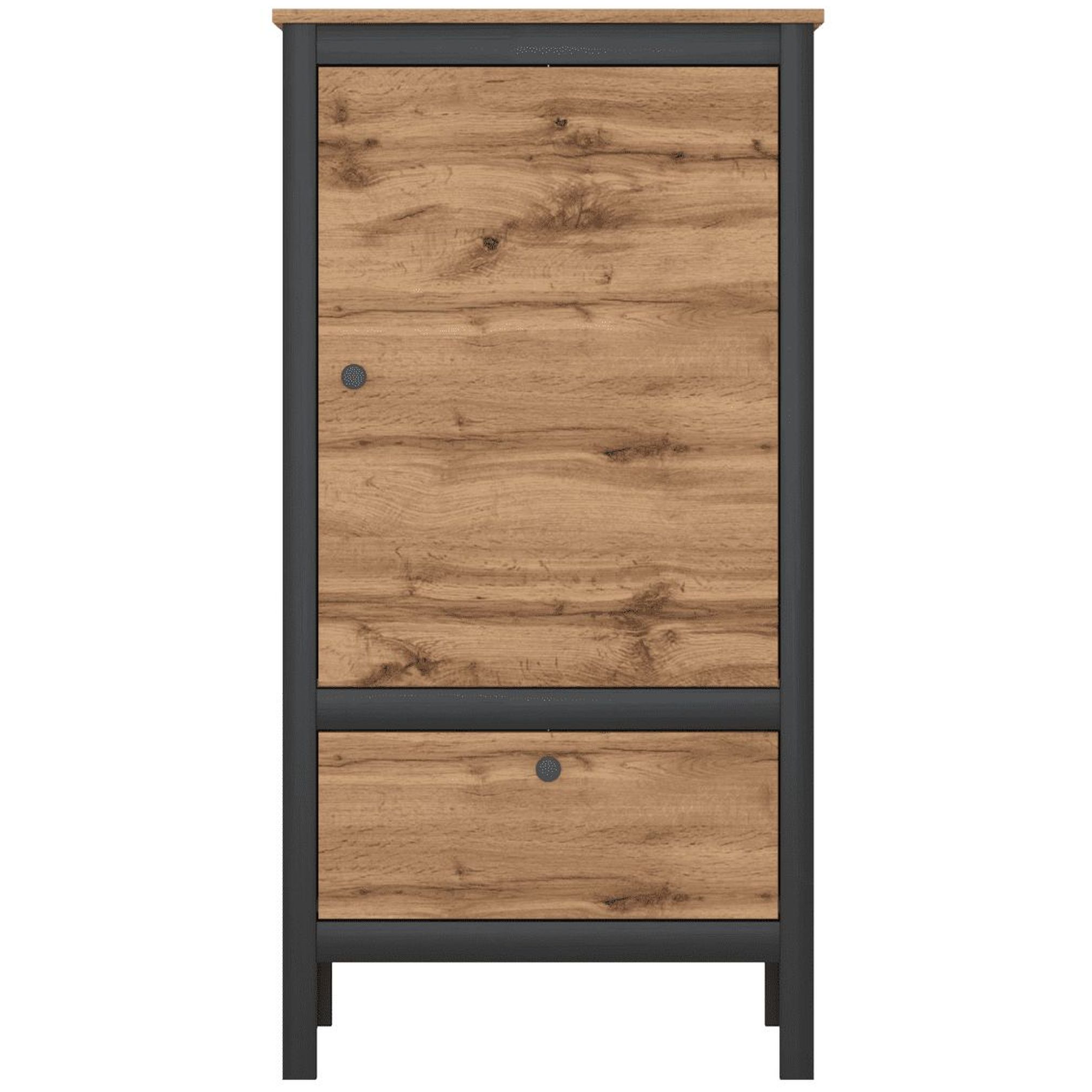 Картинка LOFT шкаф REG1D1S/60 интернет-магазин мебели FreeTime
