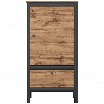 Картинка LOFT шкаф REG1D1S/60 интернет-магазин мебели FreeTime